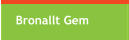 Bronallt Gem
